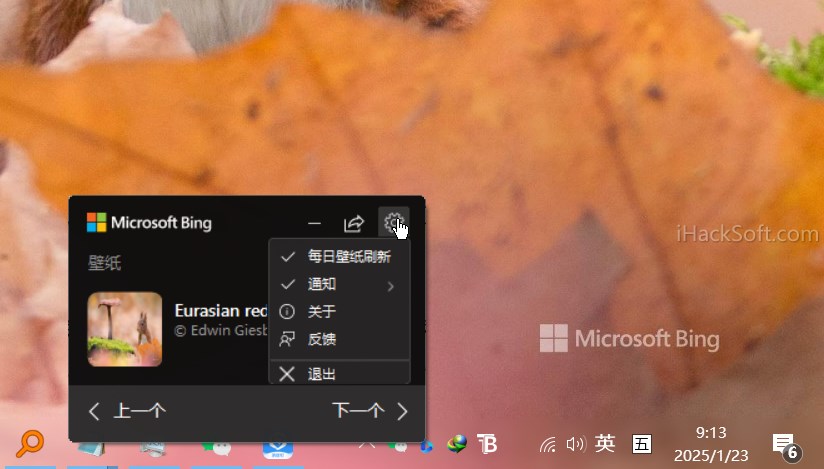 Bing Wallpaper